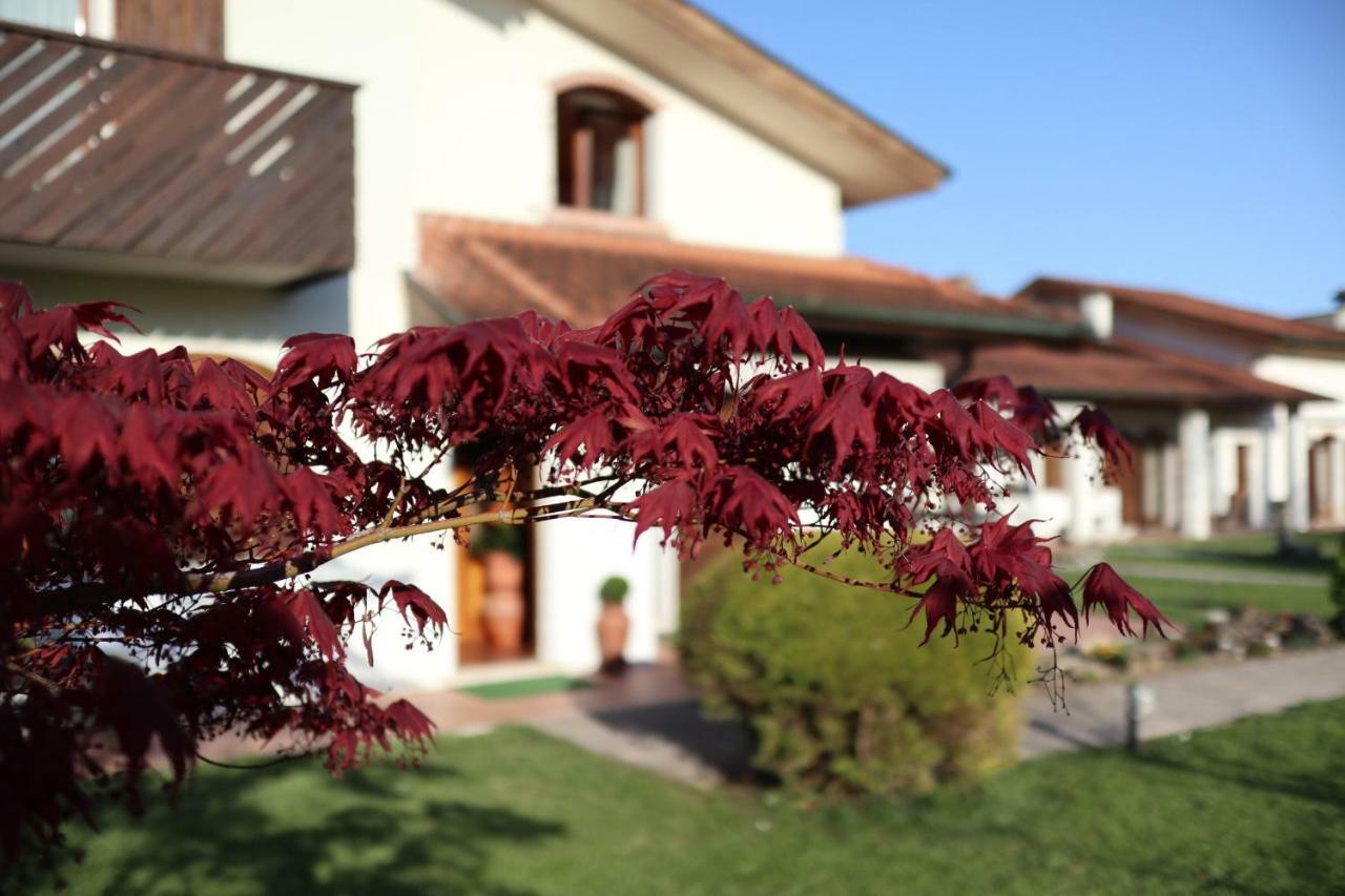 La Pecora Nera Bed & Breakfast Belluno Exterior photo